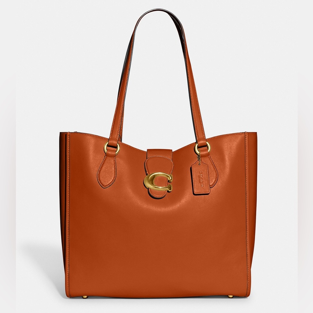 NWOT Canyon Leather Coach Theo Tote Bag